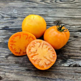 Amish Gold Tomato Seeds | Solanum lycopersicum | Pennsylvania Heirloom Translucent Golden Sweet Slicing Tomato