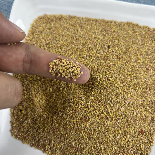 Fruitless Edible Leaf Wolfberry Seeds | Lycium barbarum | Tender Young Goji Sprout Culinary Vegetable