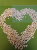 Tanzanian White Maize Corn Seeds | Zea mays | Organic Non-GMO African Staple Crop