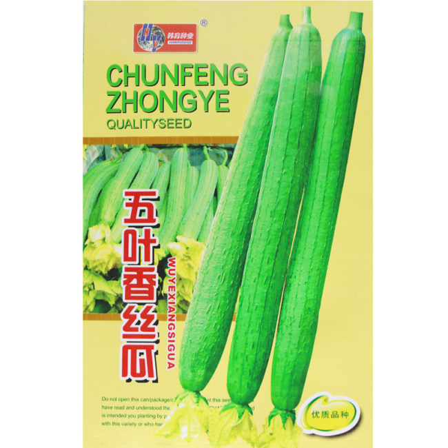 Five-Leaf Fragrant Luffa Seeds | Luffa aegyptiaca | Non-GMO Home Garden Veggie