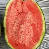 'Super Sweet 2K' Watermelon Seeds F1 | Citrullus lanatus | Early Maturing 4.5LB Crisp Red Flesh Gift Melon