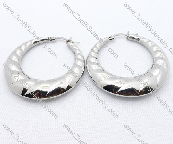 Slippery Stainless Steel earring - JE050084