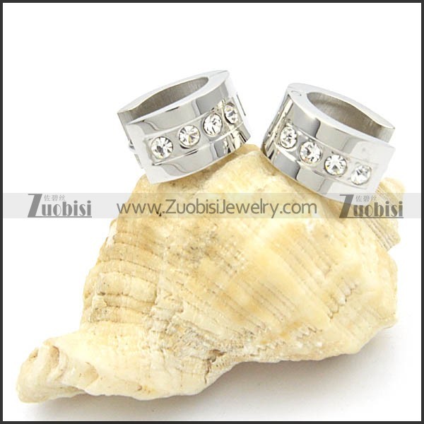 Stainless Steel Earrings -e000196
