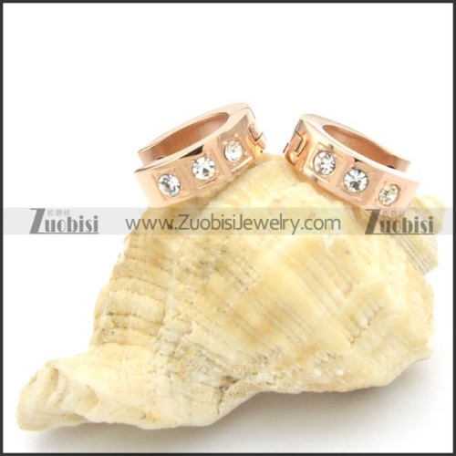 Stainless Steel Earrings -e000192