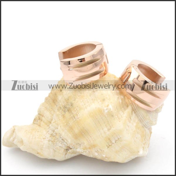 Stainless Steel Earrings -e000203