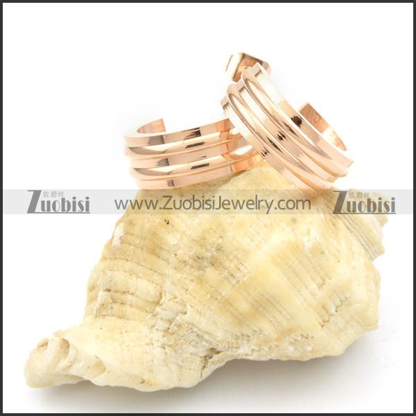 Stainless Steel Earrings -e000172
