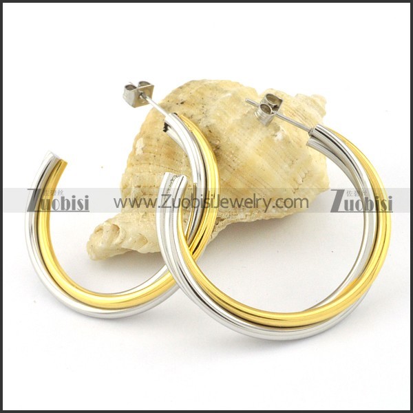 wonderful 2 tones Stainless Steel lines Earrings for Women - e000351