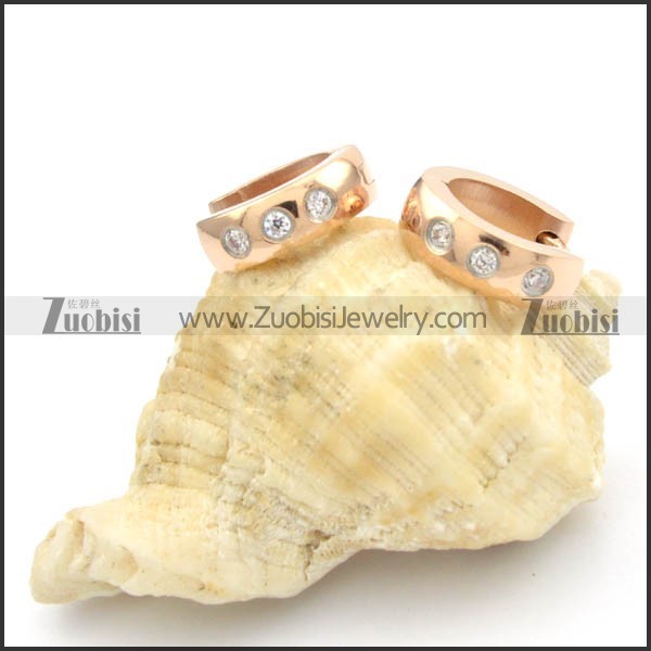 Stainless Steel Earrings -e000186
