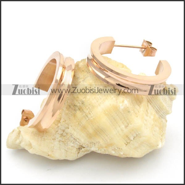 Stainless Steel Earrings -e000174