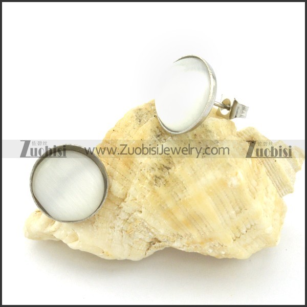 beauteous Steel Cat Eye Stone Earring -e000527