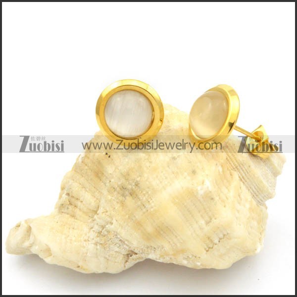 Stainless Steel Earrings -e000167