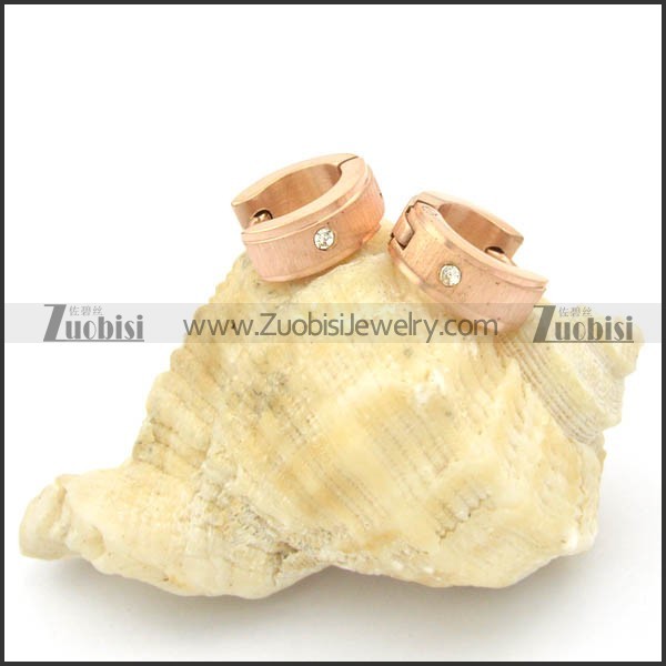 Stainless Steel Earrings -e000177