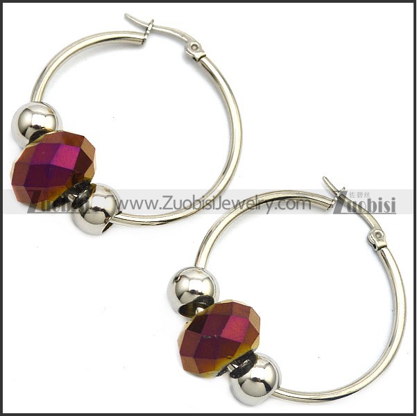 Stainless Steel Earring e001645