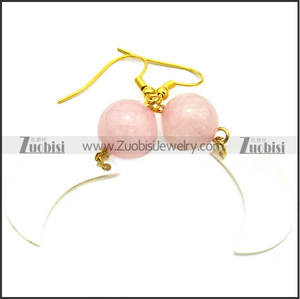 Stainless Steel Earring e001734