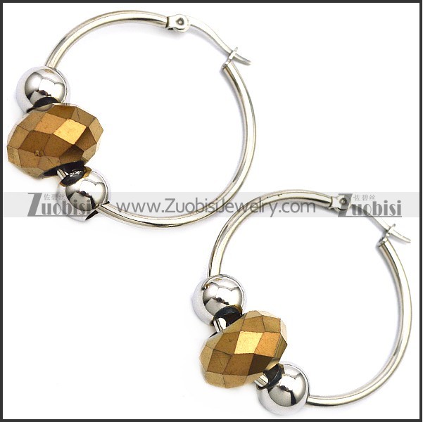 Stainless Steel Earring e001646