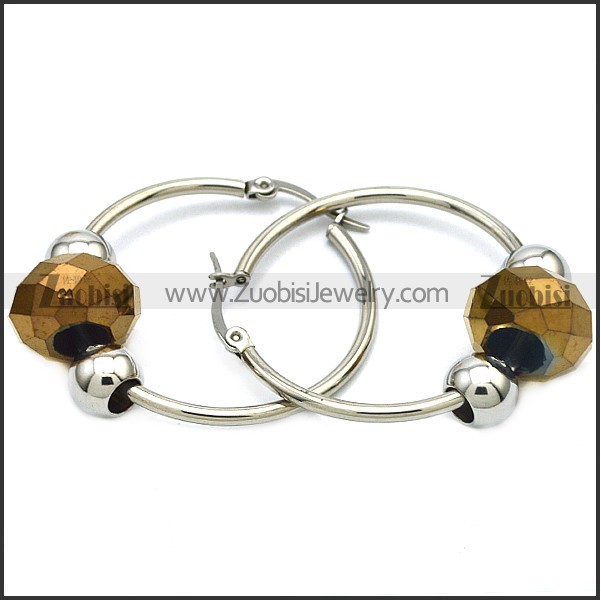 Stainless Steel Earring e001646