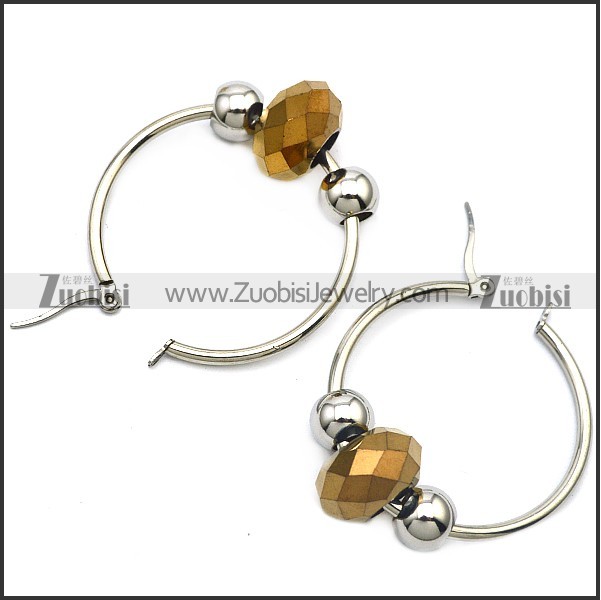 Stainless Steel Earring e001646