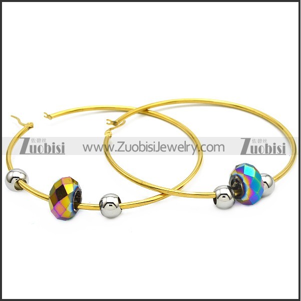 Stainless Steel Earring e001642