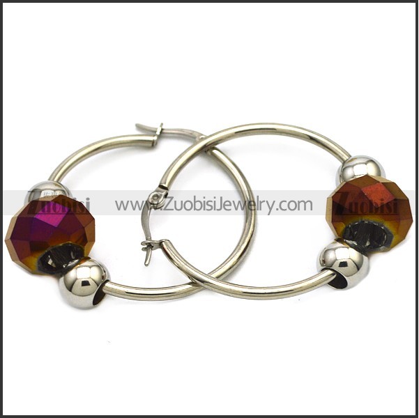 Stainless Steel Earring e001645