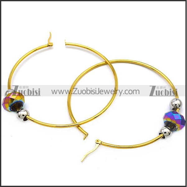 Stainless Steel Earring e001642