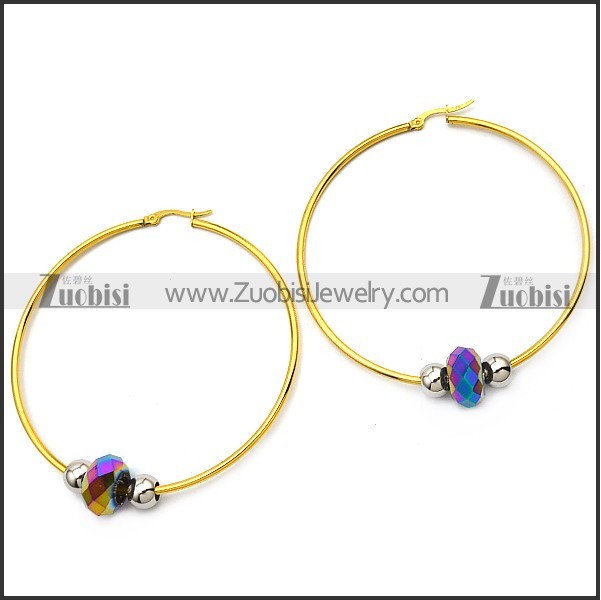 Stainless Steel Earring e001642