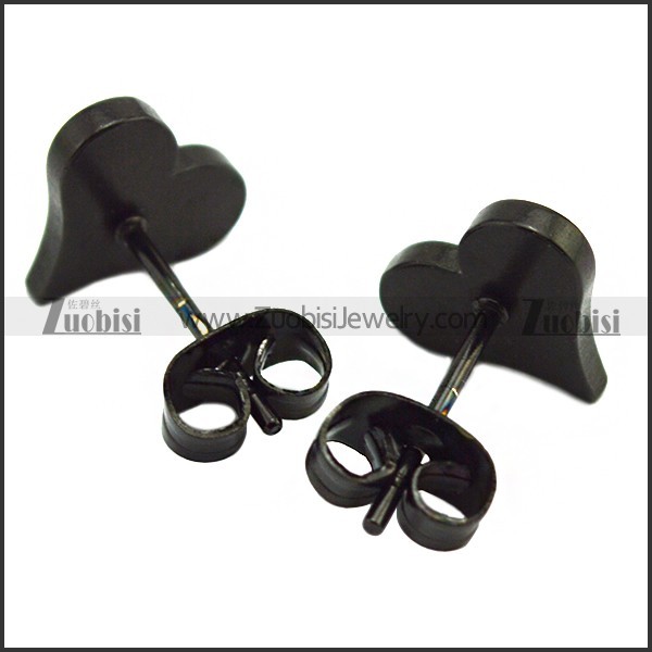 Stainless Steel Earring e001999