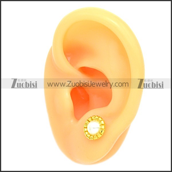 Stainless Steel Earring e002092