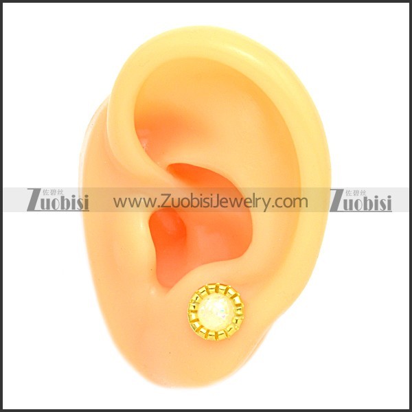 Stainless Steel Earring e002102