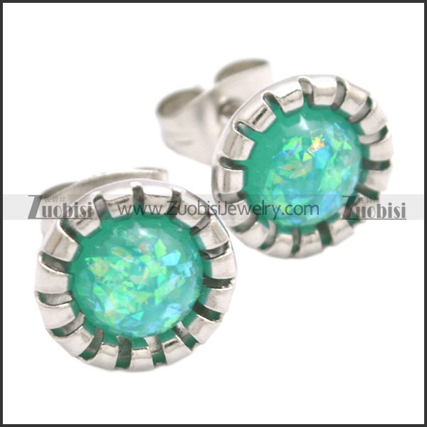 Stainless Steel Earring e002096