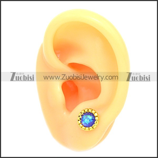Stainless Steel Earring e002105