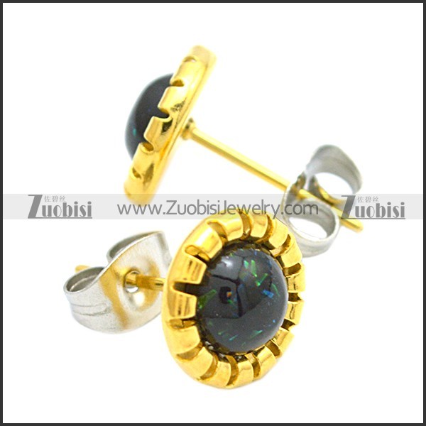 Stainless Steel Earring e002094