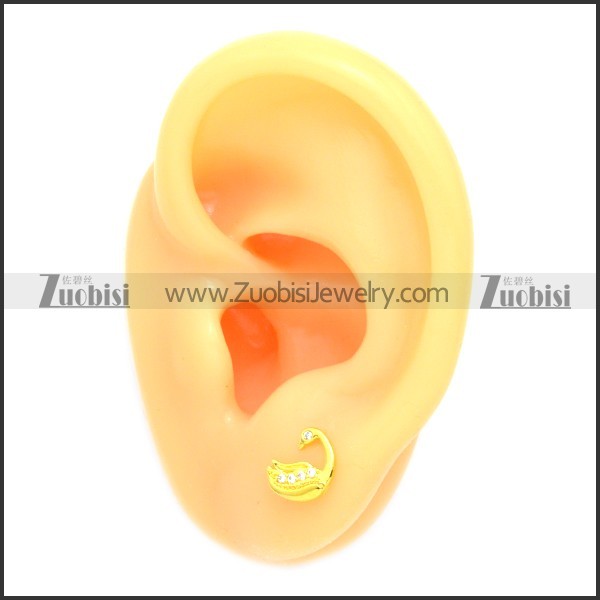 Stainless Steel Earring e002078