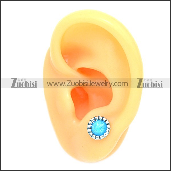 Stainless Steel Earring e002101