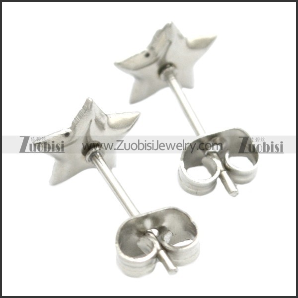 Stainless Steel Earring e002074