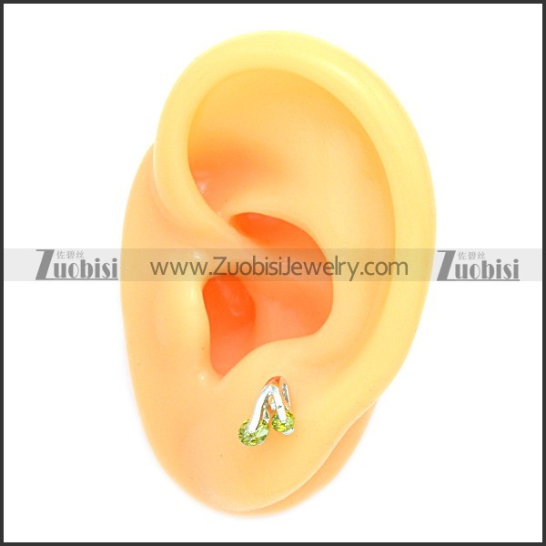 Stainless Steel Earring e002085