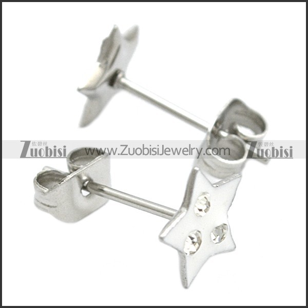 Stainless Steel Earring e002074