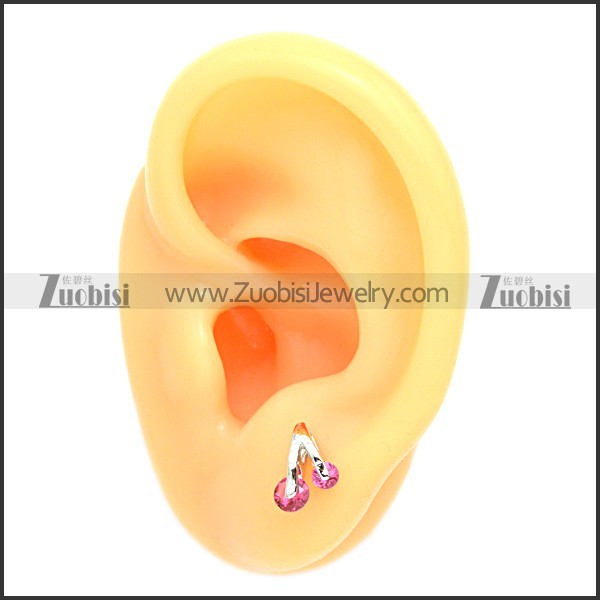 Stainless Steel Earring e002089