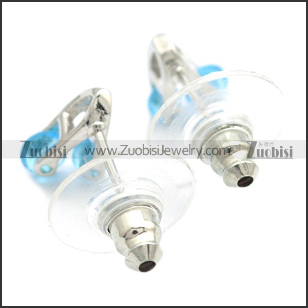 Stainless Steel Earring e002081