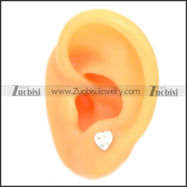 Stainless Steel Earring e002073