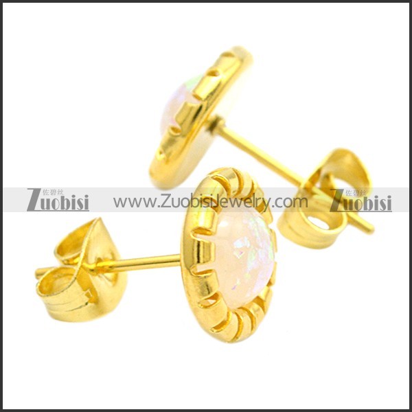 Stainless Steel Earring e002102