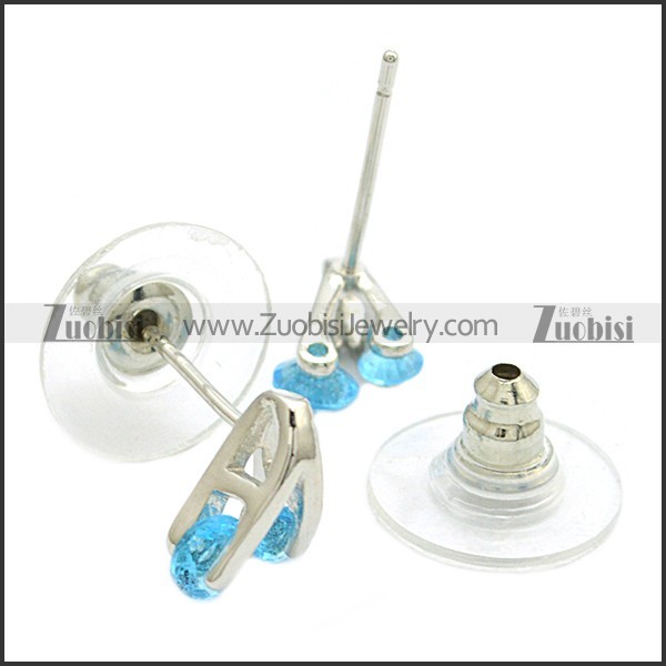 Stainless Steel Earring e002081