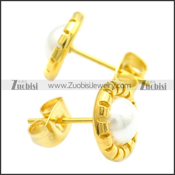 Stainless Steel Earring e002092