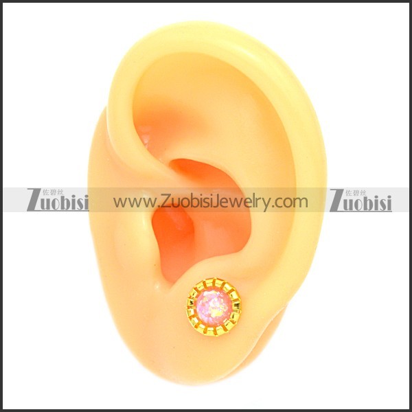 Stainless Steel Earring e002104