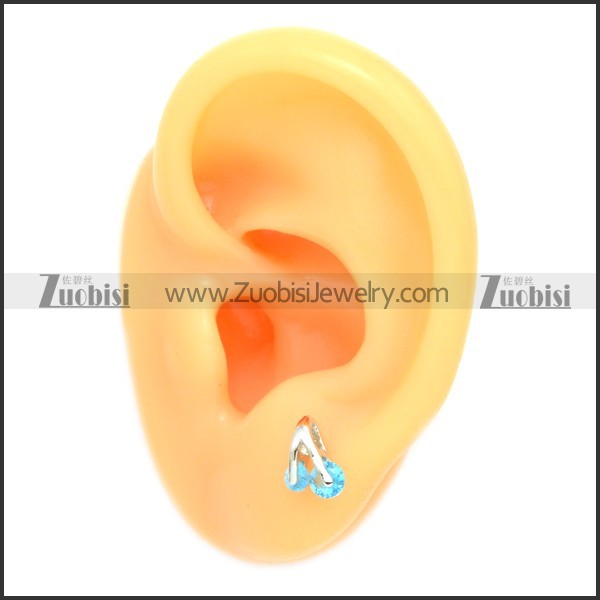 Stainless Steel Earring e002081