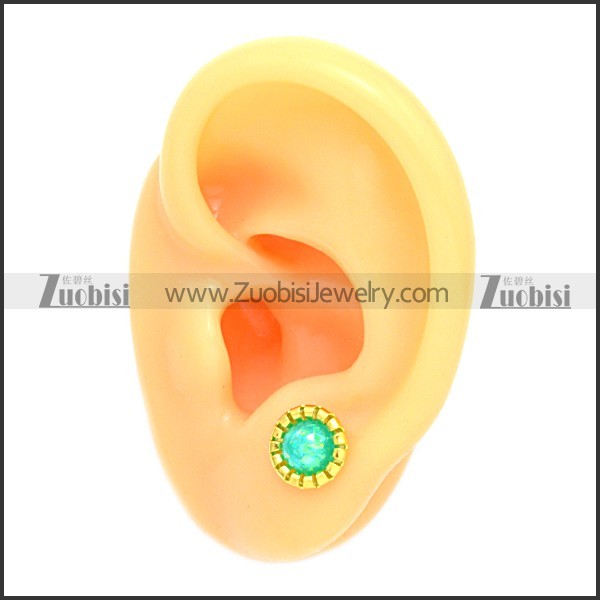 Stainless Steel Earring e002107