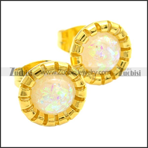 Stainless Steel Earring e002102