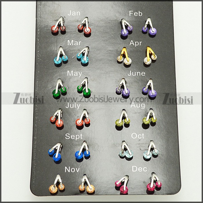 Stainless Steel Earring e002079