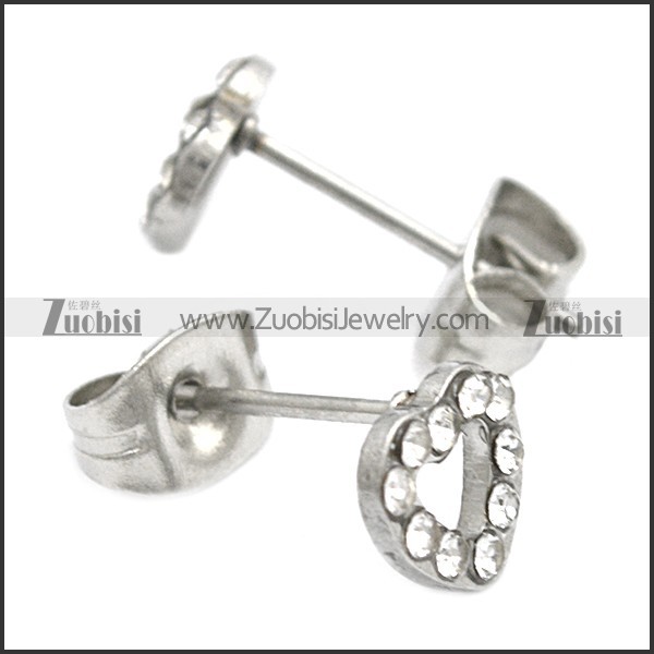 Stainless Steel Earring e002069