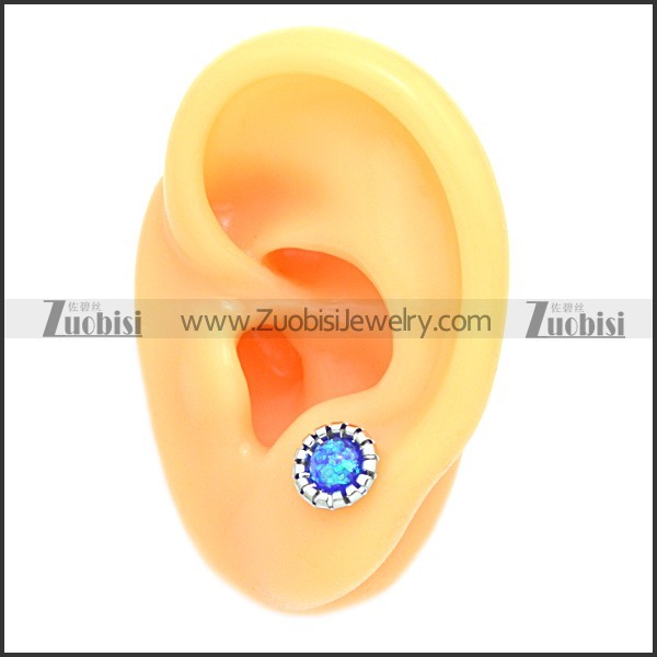 Stainless Steel Earring e002099