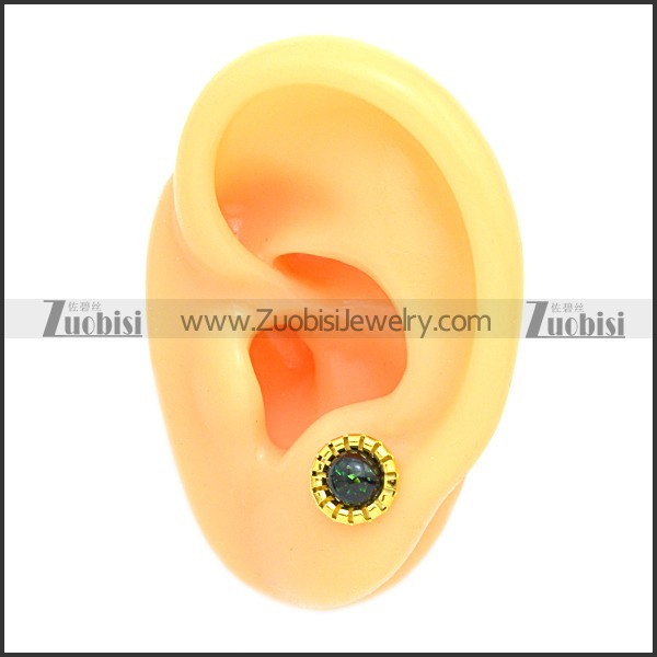 Stainless Steel Earring e002094